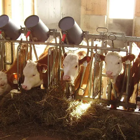 Oerglgut Appartement *